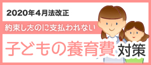 子どもの養育費対策