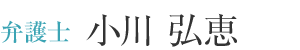 弁護士 小川 弘恵