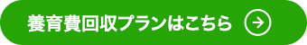 養育費回収プランはこちら