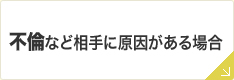 不倫など相手に原因がある場合